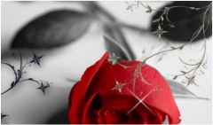 婚姻问题：因为父母的财产，媳妇三天两头闹离婚，这样的女人值得留恋吗？