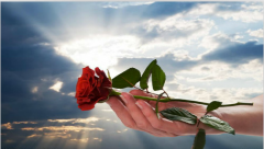 婚姻问题：女人永远不要去逼一个出轨男人离婚，否则......