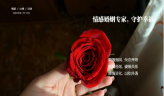 什么是冲动离婚？婚姻家庭咨询