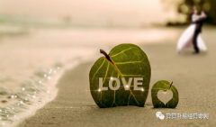 怎样修复婚姻：匆忙结婚让我尴尬透顶，可我不敢说分手！