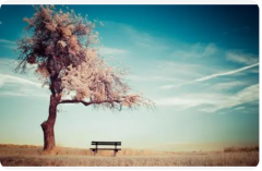 河南心靠岸情感主要提供关于婚姻问题的咨询、婚姻在线咨询、怎么经营婚姻、