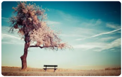 老公出轨:出轨只是喜欢这种新鲜感