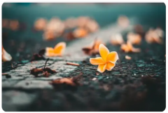 挽救婚姻:面对无欲无求的高段位小三，如何快速分离