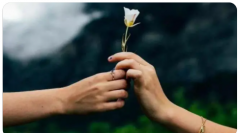 分离小三:老公一直背着我跟那个小三藕断丝连