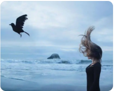 婚姻出轨:背叛婚姻的人是他，为什么挽回婚姻的人是我